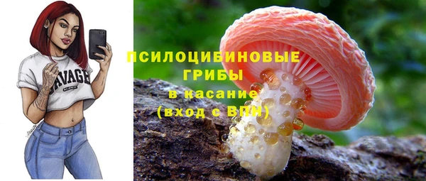 дурь Белокуриха